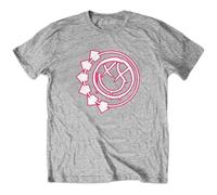 Blink-182 Six Arrow Official Childrens Tee T-Shirt Boys Kids 11-12 Years Grey