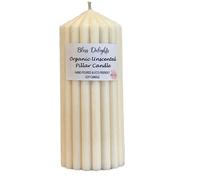 Bliss Delights Organic Unscented Soy Pillar Candles | Plastic Free Company, Eco-Friendly, Cruelty Free & Vegan Soy Wax Candles (Large)