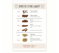 Bliss Monkey Co. Bristol Stool Chart - Gastrointestinal Health Chart - Digestive System Poster - Poop Consistency 12 x 18 Inch - Unframed - Premium 100lb Gloss - Made In USA