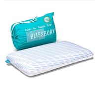 BLISSBURY 3.3 Inch Cooling Super Thin Pillow for Sleeping | Flat for Stomach & Back Sleeper | Cooling Memory Foam to Provide Comfort When Resting | Removable Cool-to-Touch Pillow Case