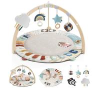 Blissful Diary Baby Play Gym & Activity Mat, 5 Developmental Zones Wooden Tummy Time Mat with 5 Detachable Sensory Toys for Motor Skills & Sensory Development, Baby Essentials Shower Gift