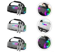 BlissfulAbode Portable Karaoke Machine 40W Speaker Dual Wireless Microphones RGB Lights USB AUX FM Radio TF Card Playback 5000mAh Battery(Silver)