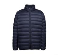 BlissfulAbode Stand Collar Men's Jacket Lightweight Down Cotton Fill | Stand collar necklines, solid patterns, black and blue options, regular clothing length, male gender