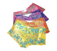 BlissfulAbode Transparent Lace Panties 4-Pack Solid Color Assorted | Seamless construction, 80% nylon 20% spandex, stretchy fit, breathable fabric, daily comfort