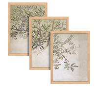 BlissPrintStudios Set of 3 Framed Apple Blossom Wall Art, A3 Size, Light Oak Style Frame, Premium Matte Paper, Botanical Prints