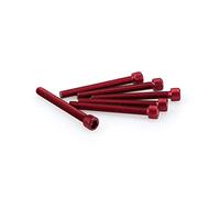 Blister pack of 6 screws in aluminum M6 x 55mm