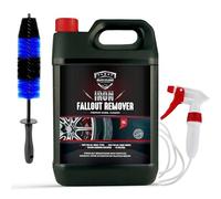 Blitz Clean Iron Fallout Remover 5L Bundle - Non-Acidic Wheel & Paint Decontaminator - Includes Trigger Sprayer with 36” Extension Tube & Wheel Brush - Colour Changing Iron Remover for Alloys & Paintw