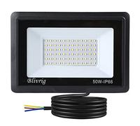 Blivrig 50W LED Outdoor Spotlight, 5000LM, 3000K Warm White, IP66 Waterproof, 20x14x3cm, Patio, Path, Garage, Garden