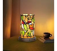 Blivuself Small Tiffany lamp Country Style Style Stained Glass Table lamp Parrot Bird Living Room Bedroom Bedside Flower Decor Night Light Cute Kids Accent Unique LED Cottage Cylinder Girls lamp