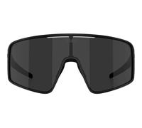 Bliz P001s Sunglasses Clear Smoke/CAT3