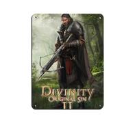 BLJKHTGG Divinity Original Sin II Video Game Player Gift Tin Sign Vintage Metal Pub Club Cafe Bar Home Wall Art Decoration Poster Retro 12x16inch(30x40cm)
