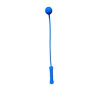 blloocod Tennis Serve Master Training Tool Portable Swing Trainer for Hitting Practice Sports Equipment- 1 Design Ball