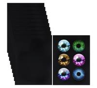 Blmirror 10Pcs Fursuit Eye Mesh,11.8x8.6 Inch Black Costume Eye Net, 0.5mm PVC Dust Mesh Plastic Mesh Sheet for Furries Cosplay B