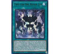 BLMM-EN029 Two-for-One Repair Job