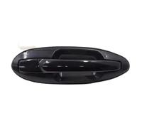 BLNETU Black Exterior Door Handle for Hyundai for Sonata 2001 2002 2003 2004(Black Rear Right)