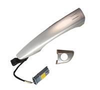 BLNETU Car Main Door Outer Handle Silver for Citroen C5 C6 9804706417(Set)