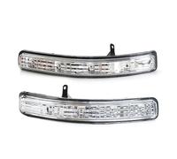 BLNETU Car Rearview Mirror Turn Signal Light 1/2pcs For Ford For Explorer 2011 2012 2013 2014 2015 2016 2017 2018 2019 (Left and Right)