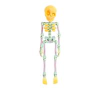 BLNGET Poseable Skeleton Fridge Magnets Figurine Halloween Decoration With Articulated Joint For Refrigerator Toy