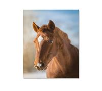 blobo DIY 5D Diamond Painting Kits for Adults Kit，Brown Horse Head，by Number Kits Paint with Diamonds Arts DIY for Home Decor（50x60cm）-D35