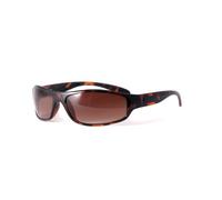 Bloc Eyewear Hornet Sunglasses - Shiny Tort