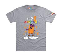 Blocks Universe Officially Licensed Numberblocks I'm 2 Excited Toddler T-Shirt in Light Grey | Size: 6-9 Years Blocks Universe Light Grey 6-9 Years