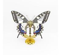 BlocteckToy 3D Metal Steampunk Butterfly Assembly Model Kit - Mechanical Papilio Xuthus Sculpture with Adjustable Wings, Stainless Steel Collectible Art & Scientific Display Piece (100+PCS)