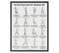 blodfune Tai Chi Chair Workout Poster, Seated Exercise Chart for Seniors Beginners, 16 Gentle Movements Canvas Unframed Wall Decor O