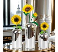 BlogBlog Glass Bud Vases for Flowers - Small Glass Vases for Fordecoration, Bulk Flower Vase for Living Room Dining Table Wedding Party Events Home Decor Floral Arrangements (Silver, 3pcs)