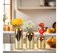 BlogBlog Glass Bud Vases for Flowers - Small Glass Vases for Fordecoration, Bulk Flower Vase for Living Room Dining Table Wedding Party Events Home Decor Floral Arrangements (Gold, 3pcs)