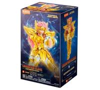 Blokees Champion Class 08 SAINT SEIYA Aquarius Camus Model Kit