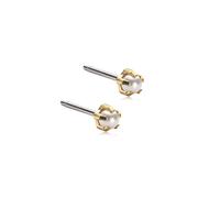 Blomdahl Tiffany Pearl Earrings Titanium 15-1303-59 - Unisex - Titanium Gold