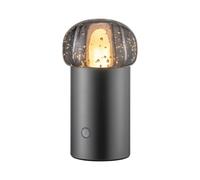 Blomus Iris Mobile Led-Lamp - Gunmetal