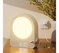 blonbar Sunrise Alarm Clock, Wake-up Light,Touch Lamp Night Light with Aurora Borealis, Stepless Dimmable Bedside Lamp, 10 Natural Sounds (Grey)