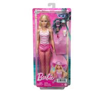 Barbie Doll and Accessories