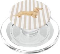 Blonde Cream Long-Haired Dachshund on Taupe & White Stripes PopSockets PopGrip for MagSafe