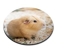 Blonde Sandy Guinea Pig Pet - Flexible Round 5mm Rubber Mouse Mat Office Home Novelty Printed Desk Accessory - 44344