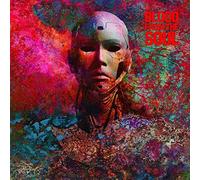 BLOOD FROM THE SOUL - DSM-5 - Vinyl Record - N3z