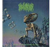 Blood Incantation : Hidden History of the Human Race CD Album (Jewel Case)