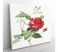 Blood Red Bengal Rose by Pierre Joseph Redoute Vintage Canvas Wall Art Print Ready to Hang, Framed Picture for Living Room Bedroom Home Office Décor, 50x50 cm (20x20 Inch)