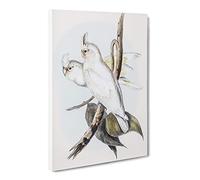 Blood Stained Cockatoos By Elizabeth Gould Canvas Print | Gallery Wrapped 30mm Frame Wall Art | 30x20 inches | Ready to Hang | Retro Picture | Living Room Bedroom Lounge Office