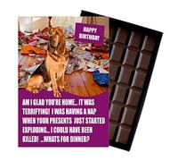 Bloodhound Birthday Boxed Chocolate Gift Silly Present Card for Dog Lovers Funny 100 Gram Belgian Milk Chocolate Greeting Bar Not a Dog Treat Human Consumption Only