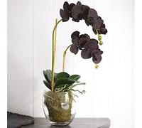 BLOOM Artificial Double Phalaenopsis Orchid Black - Artificial Flowers, Silk Flowers, Faux Flowers That Look Real, Perfect For Mothers Day Flowers, Artificial Foliage in Glass Vase