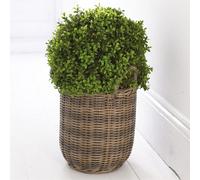 BLOOM Artificial Large Boxwood Ball Topiary Plant - 50cm Fake Green Foliage, Faux Silk Flowers That Look Real, Perfect for Mothers Day, Home Decor, Nursery Pot Included