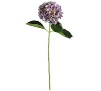 Bloom Artificial Single Charlotte Mauve Hydrangea Stem - Faux Fake Realistic Flower, Indoor Home Floral Decoration - L65cm in Purple Bloom Purple