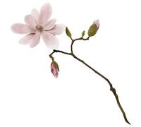 Bloom Artificial Single Dark Pink Magnolia Flower Stem - Faux Fake Silk Flower Indoor Home Floral Decoration - L52cm Bloom Pink