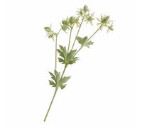 Artificial Single Green Sea Holly Stem - Faux Fake Silk Flower Indoor Home Floral Decoration - Measures L55cm Bloom Green One Size