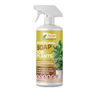 Bloom & Bud Insecticidal Soap Spray - Fast-Acting Natural Pest Control for Plants (500ml) - Kills Aphids, Spider Mites, Whiteflies & More - Visible Results in 24 Hours - Safe for Indoor & Outdoor Use