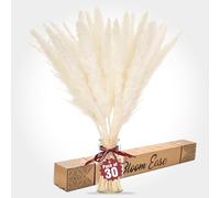 Bloom Ease Dried Pampas Grass - 30 Stems Natural Pampas Grass Decor for Boho Home, Weddings and Celebrations - 45cm Long White Fluffy Stems with a Gift Box