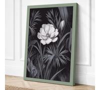 Bloom in Shadow Botanical Canvas Wall Art Print 18x12 Inch (46 x 30 cm)