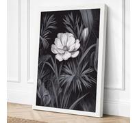 Bloom in Shadow Botanical Canvas Wall Art Print 24x16 Inch (61 x 41 cm)